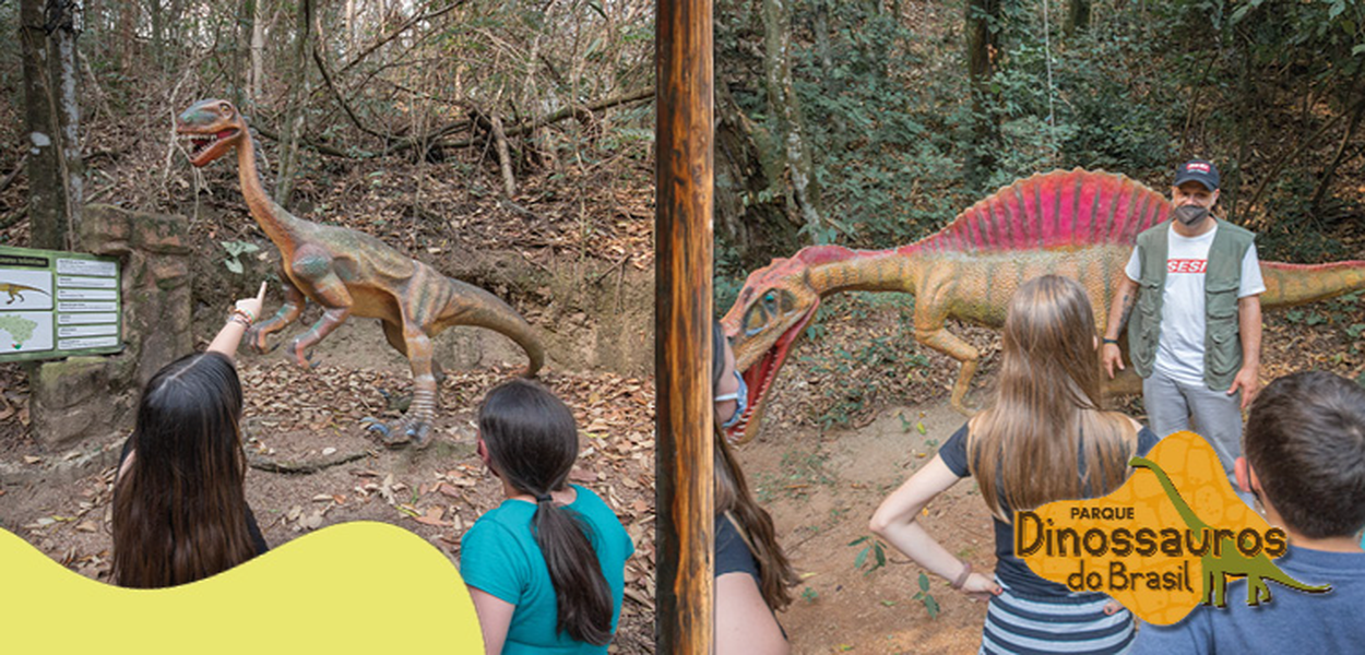 Image Trilha dos Dinossauros