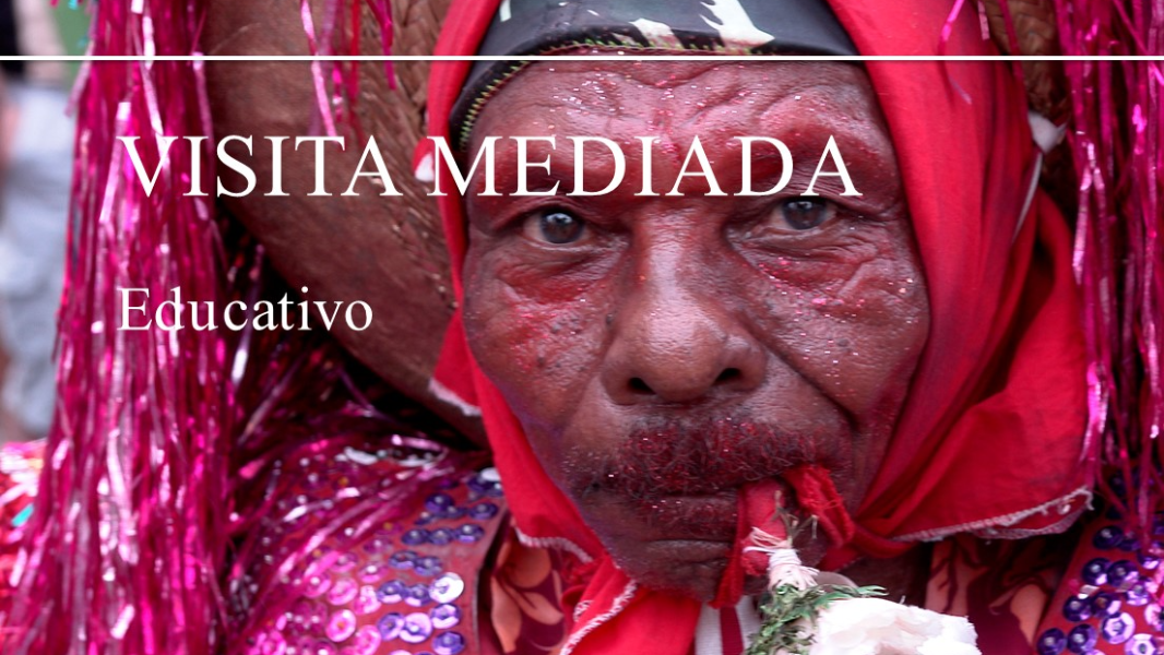 Image Visita Mediada | Exposição “Maracatu Rural – A Magia dos Canaviais”