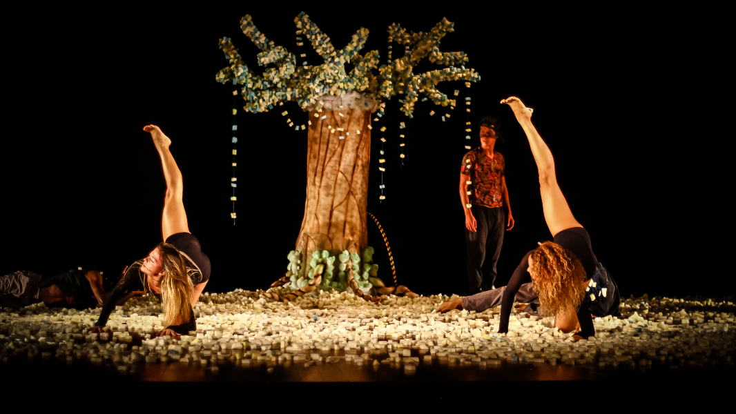 Image Pé de Cachimbo