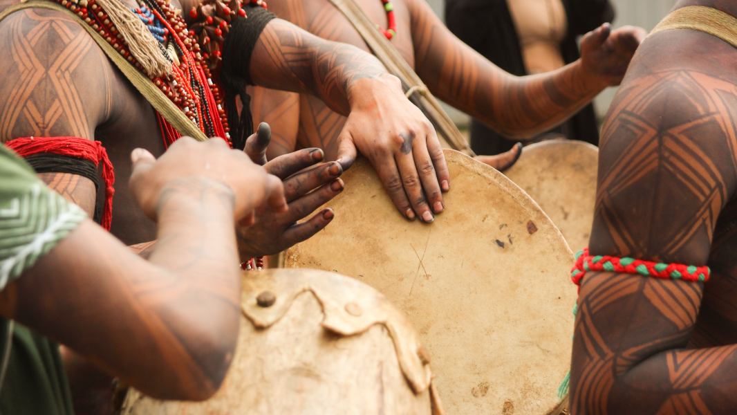 Image Raízes que Movem