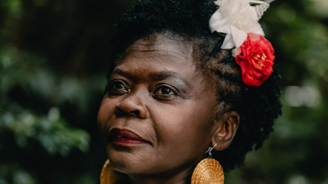 Image DO AUTO DO NOSSO BOI