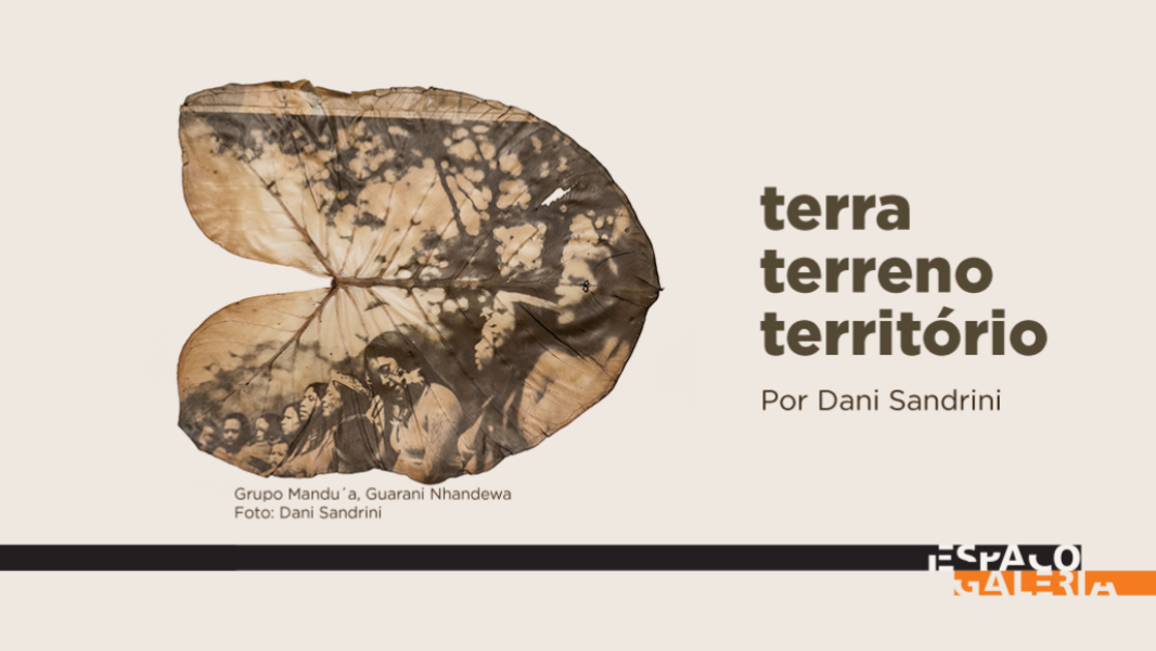 Image Abertura Exposição "Terra Terreno Território"