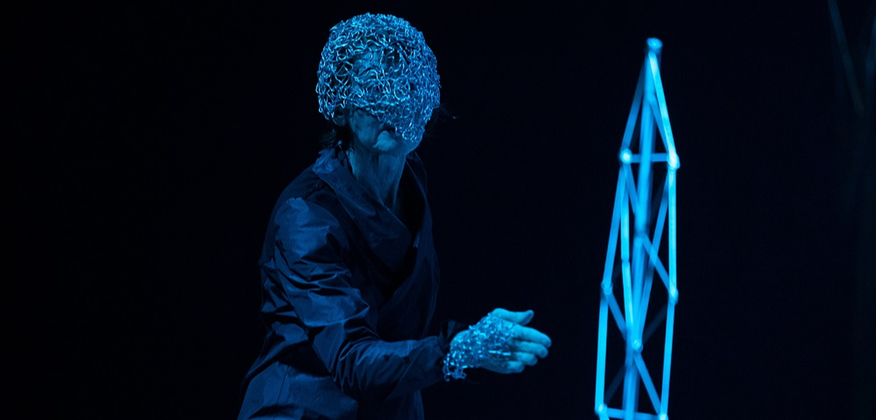 Image Na Anatomia Oca dos Pássaros