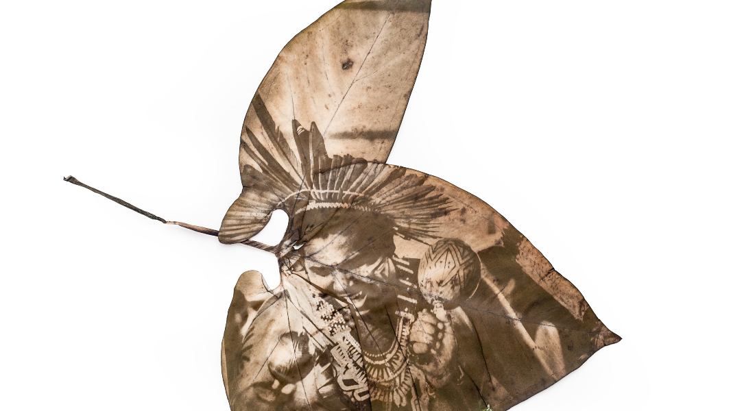 Image Contos, lendas e histórias dos povos indígenas do Amazonas