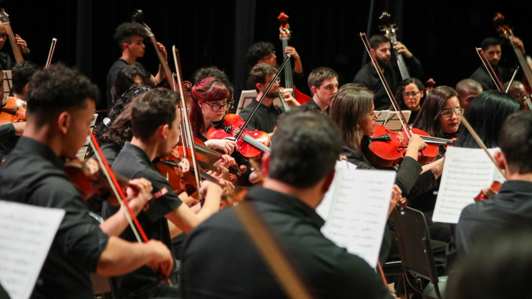 Image Camerata SESI-SP Diadema