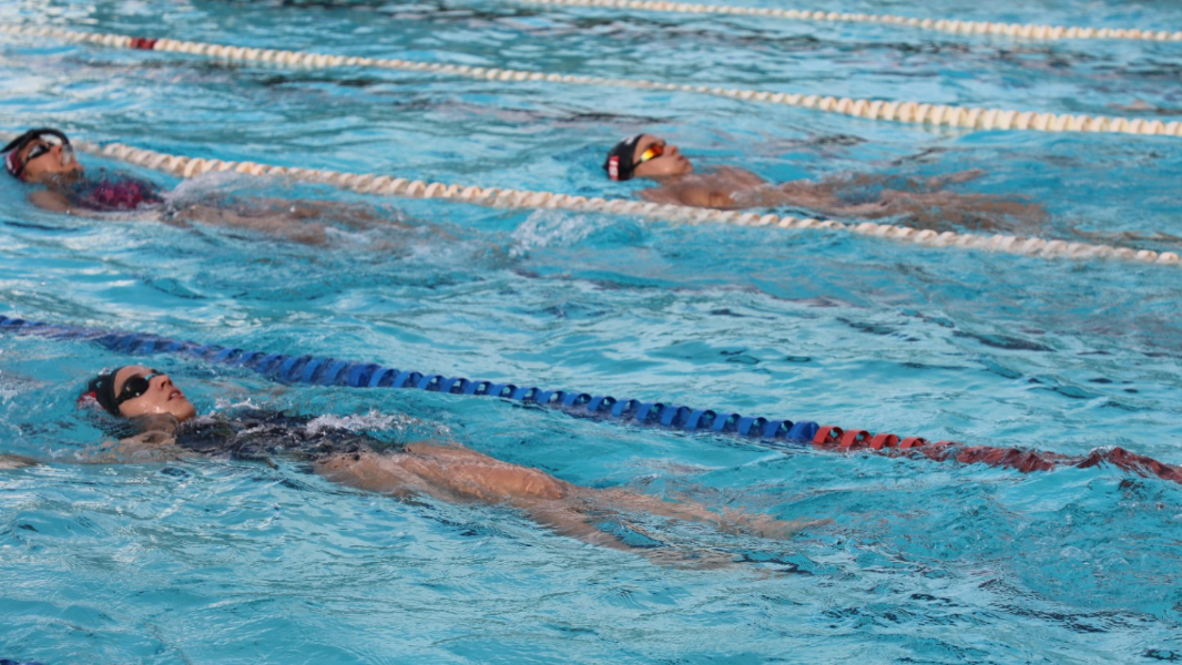 Image Festival de Natação SESI Esporte